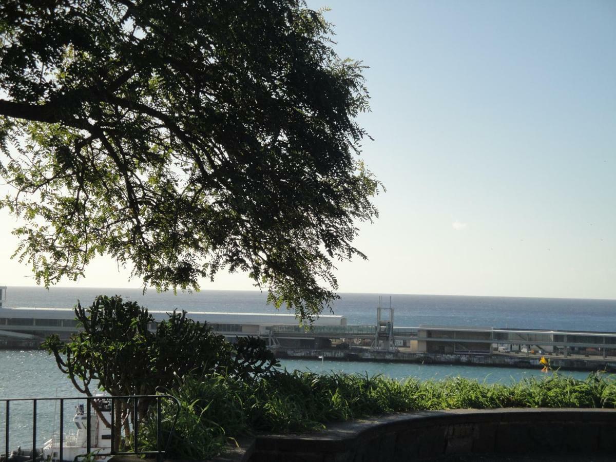 Vila Violeta House Funchal  Exteriér fotografie