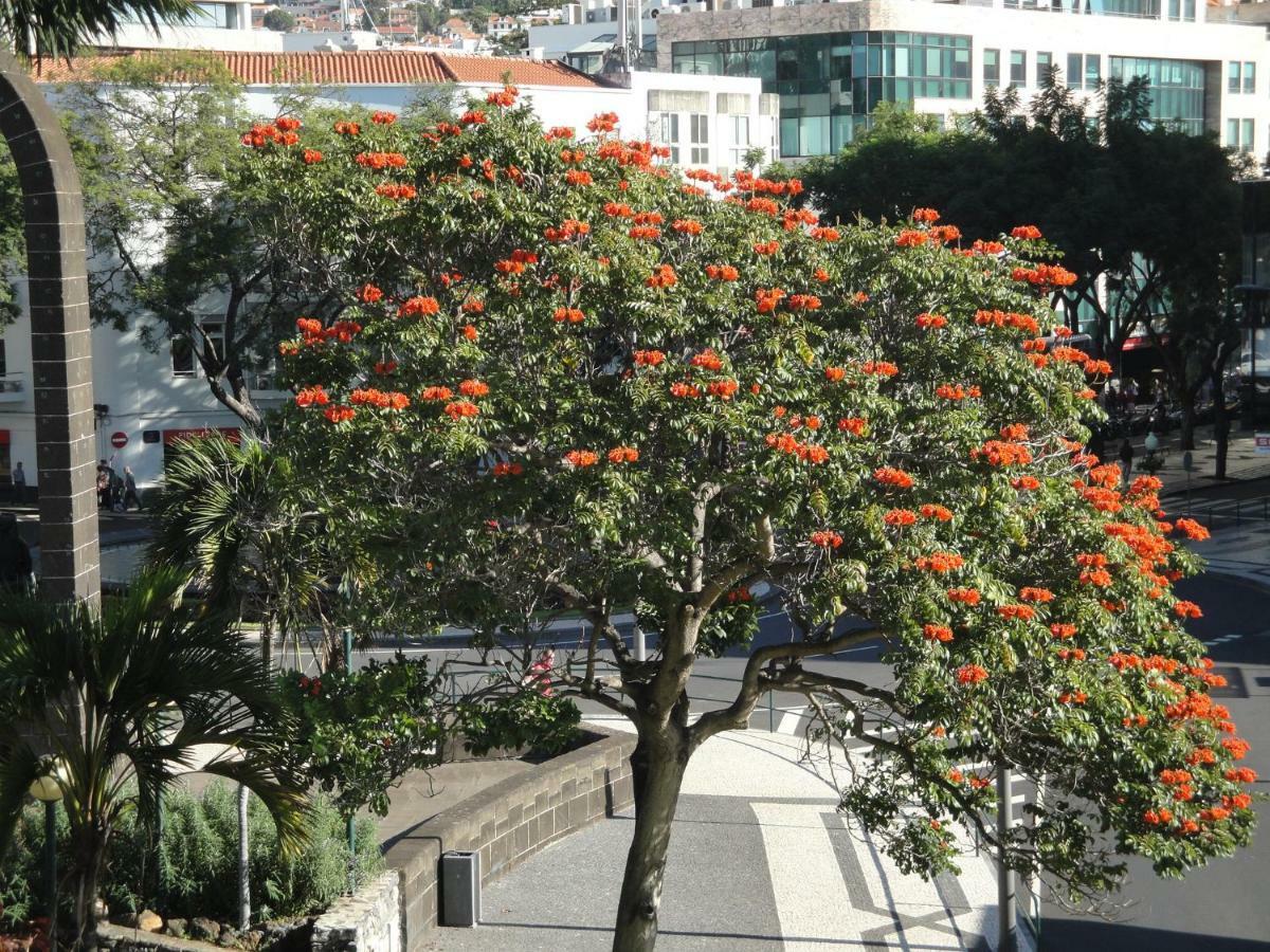 Vila Violeta House Funchal  Exteriér fotografie