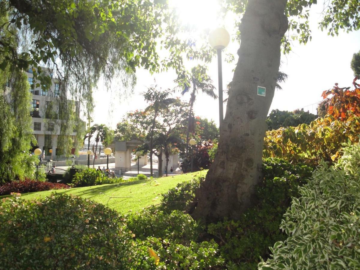Vila Violeta House Funchal  Exteriér fotografie